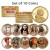 FAMOUS NATIVE AMERICANS Colorized Sacagawea Dollar 10-Coin Complete Set INDIANS