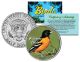 BALTIMORE ORIOLE Collectible Birds JFK Kennedy Half Dollar Colorized US Coin