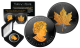 2017 BLACK RUTHENIUM & 24K GOLD .9999 Genuine Silver 1 oz CANADA MAPLE LEAF BU with Deluxe Felt Display Box