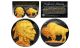 1930's BLACK RUTHENIUM Original Indian Head Buffalo Nickel *FULL DATES* 24KT Gold Clad Obverse & Reverse