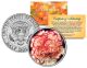 CARNATION FLOWER JFK Kennedy Half Dollar U.S. Colorized Coin