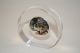 DALE EARNHARDT SR 2001 1 oz American Silver Eagle Colorized Coin Lucite Paperweight