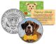 BOXER - Dog - JFK Kennedy Half Dollar U.S. Colorized Coin - Limited Edition