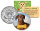 DACHSHUND - Dog - JFK Kennedy Half Dollar U.S. Colorized Coin - Limited Edition