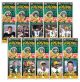 BRETT FAVRE 24K Gold Plated US Statehood Colorized Quarters 10-Coin Complete Set - Officially Licensed