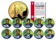 2007 NEW YORK GIANTS CHAMPIONS 24K Gold Plated NY Statehood Quarters US 10-Coin Team Set - Officially Licensed