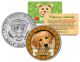 GOLDEN RETRIEVER Dog JFK Kennedy Half Dollar U.S. Colorized Coin