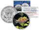 MOLLY - Tropical Fish Series - JFK Kennedy Half Dollar U.S. Colorized Coin