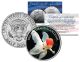 RED CAP ORANDA GOLDFISH - Tropical Fish Series - JFK Kennedy Half Dollar U.S. Colorized Coin