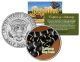 CALIFORNIA KING SNAKE - Collectible Reptiles - JFK Kennedy Half Dollar Colorized US Coin