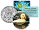 BABY DUCKLING Collectible Birds JFK Kennedy Half Dollar US Colorized Coin DUCK