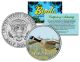 CANADA GOOSE Collectible Birds JFK Kennedy Half Dollar Colorized U.S. Coin