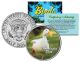 DOMESTICATED DUCK Collectible Birds JFK Kennedy Half Dollar Colorized US Coin