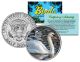 MUTE SWAN Collectible Birds JFK Kennedy Half Dollar Colorized U.S. Coin