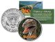 VELOCIRAPTOR Collectible Dinosaur JFK Kennedy Half Dollar US Colorized Coin
