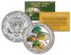 PUNKINSEED Collectible Antique Fishing Lures JFK Kennedy Half Dollar US Coin