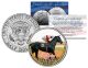 RUFFIAN - Racing's Greatest Filly - Thoroughbred Racehorse Colorized JFK Half Dollar US Coin