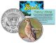 MOURNING DOVE Collectible Birds JFK Kennedy Half Dollar Colorized US Coin