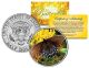 SPICEBUSH SWALLOWTAIL BUTTERFLY JFK Kennedy Half Dollar U.S. Colorized Coin