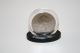 SINGLE COIN DISPLAY STANDS for Half Dollar or Quarter EXCLUSIVE DESIGN (Quantity 250)